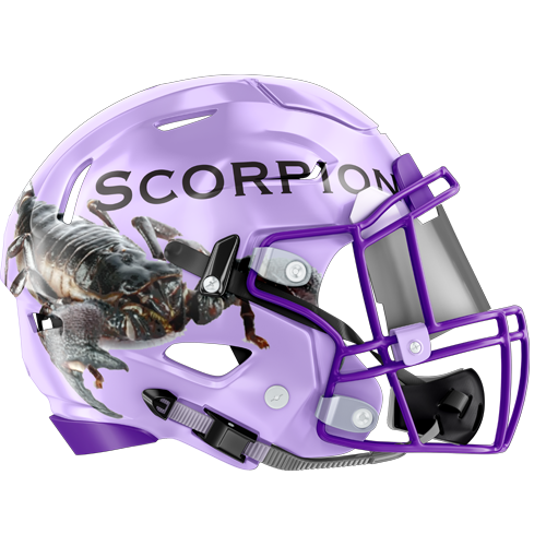 https://indieprofootball.com/wp-content/uploads/2022/07/scorpions-small-helmet.png